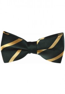 vanderbiltbow-lrg_1